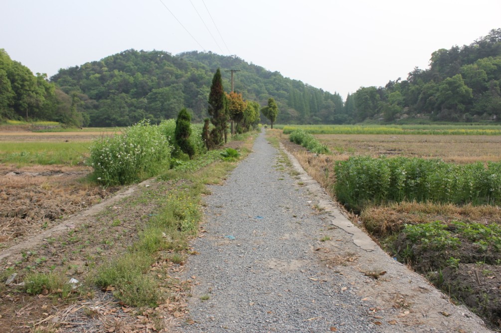 《图说绍兴刘氏风格》 之 机耕路,田埂