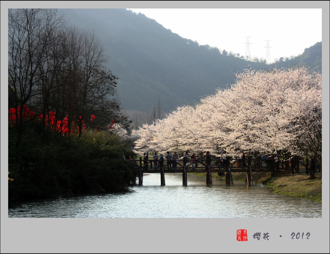 2012.03.31鲤鱼桥·樱花 增加几张宛委山樱花照片