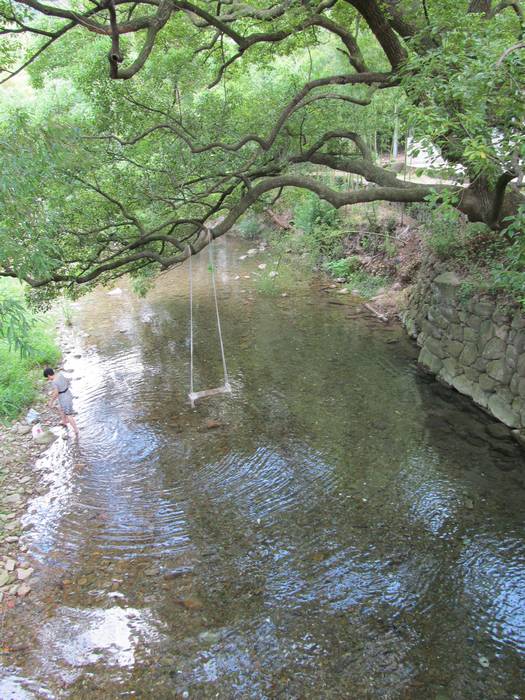 风景如画的王化溪上村|图说绍兴 绍兴e网论坛 绍兴地方门户网站