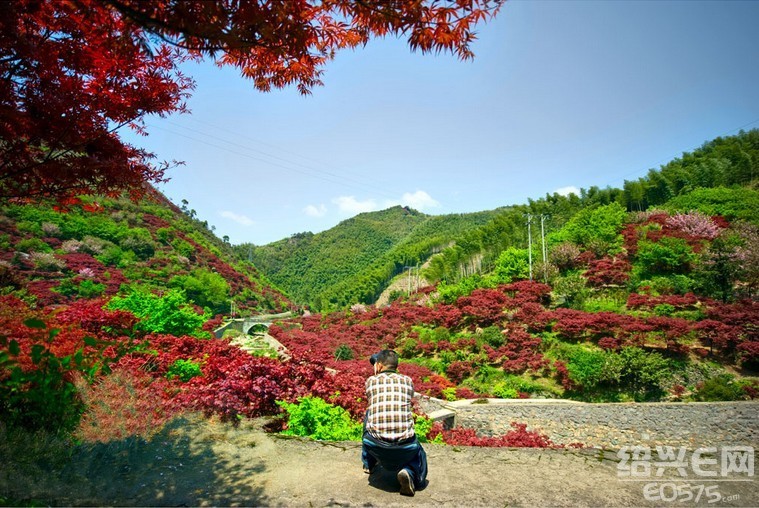 秋色怡人嵊州四明山