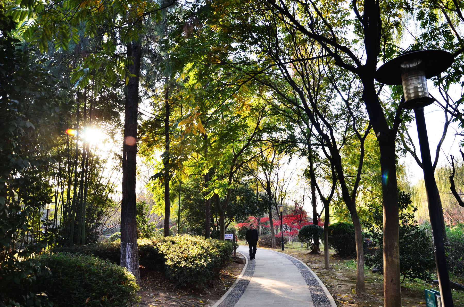 再拍稽山公园冬日美景|图说绍兴 - 绍兴e网论坛