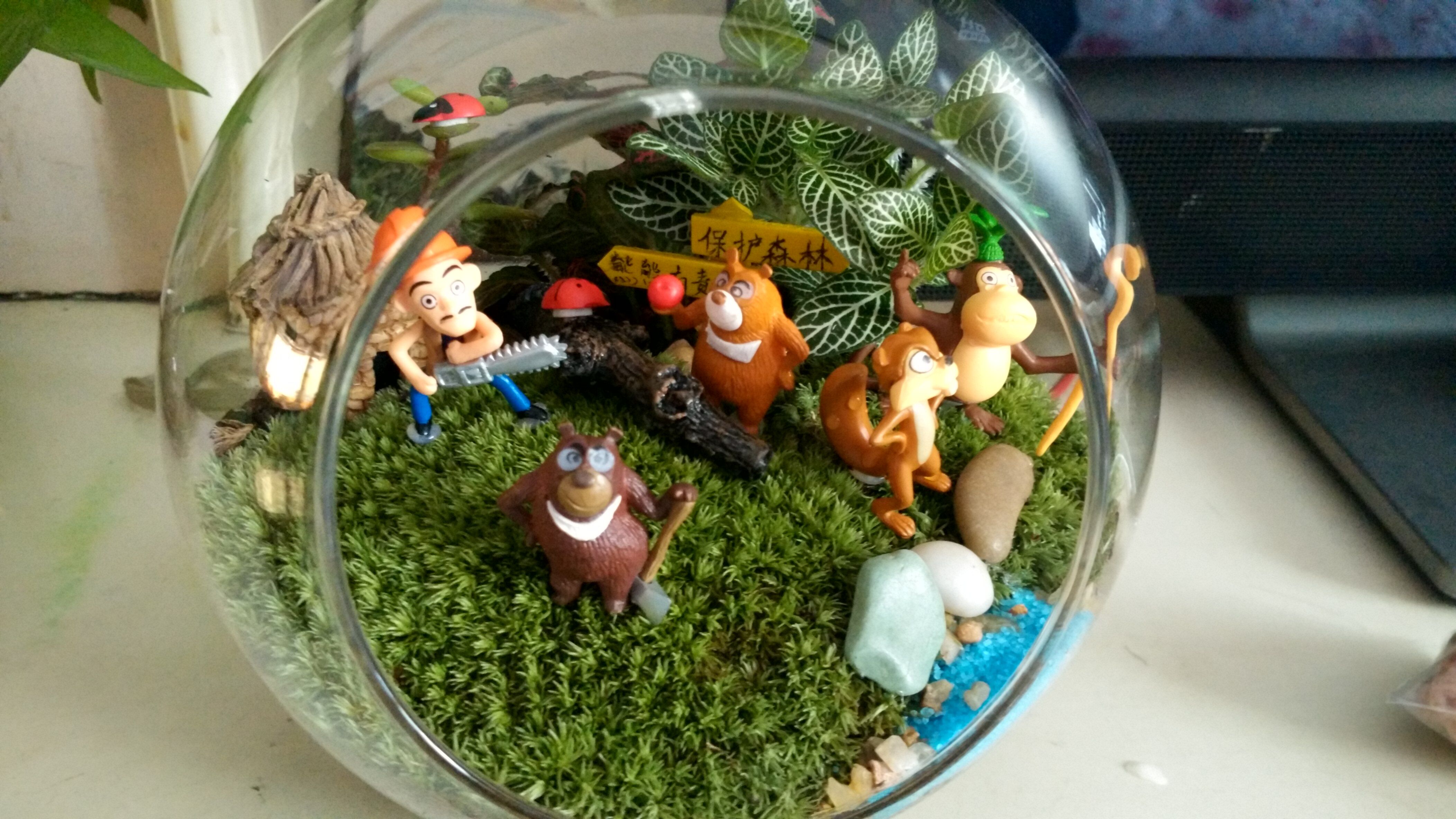 生态微景观制作