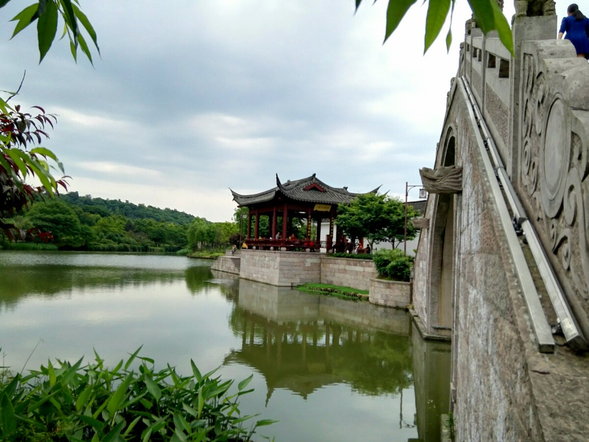 身边的风景-镜湖湿地公园