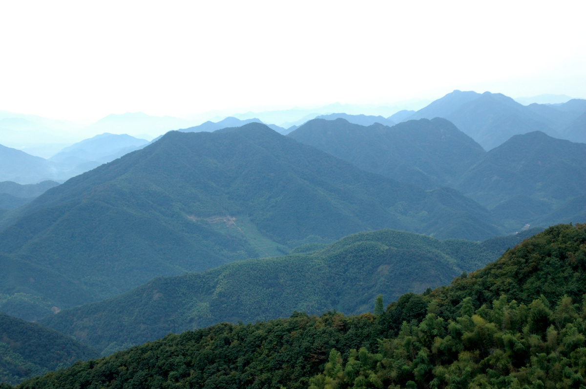 登诸葛仙山,赏野道秋色