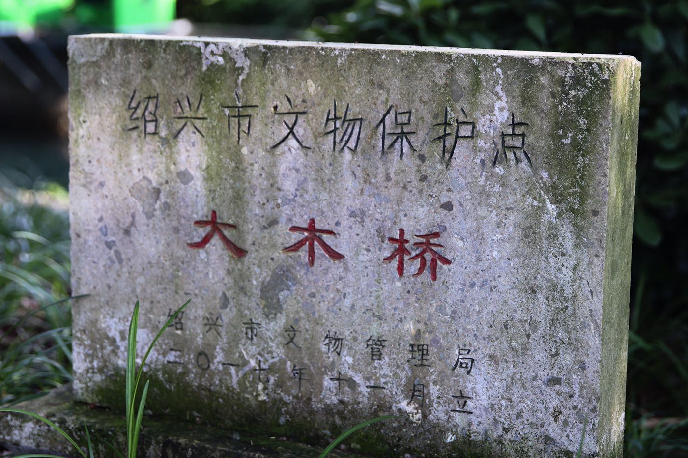 大木桥 2019.5.22|图说绍兴 - 绍兴e网论坛 - 绍兴