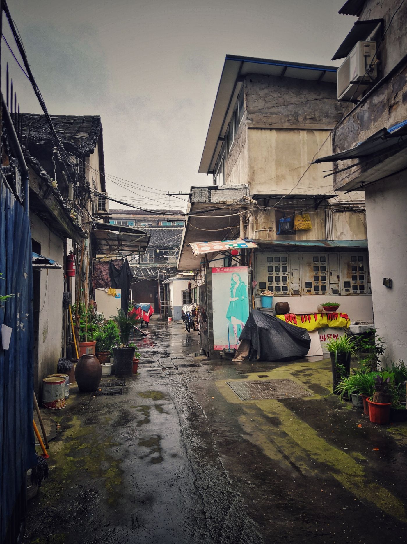 前观巷:春雨润无声