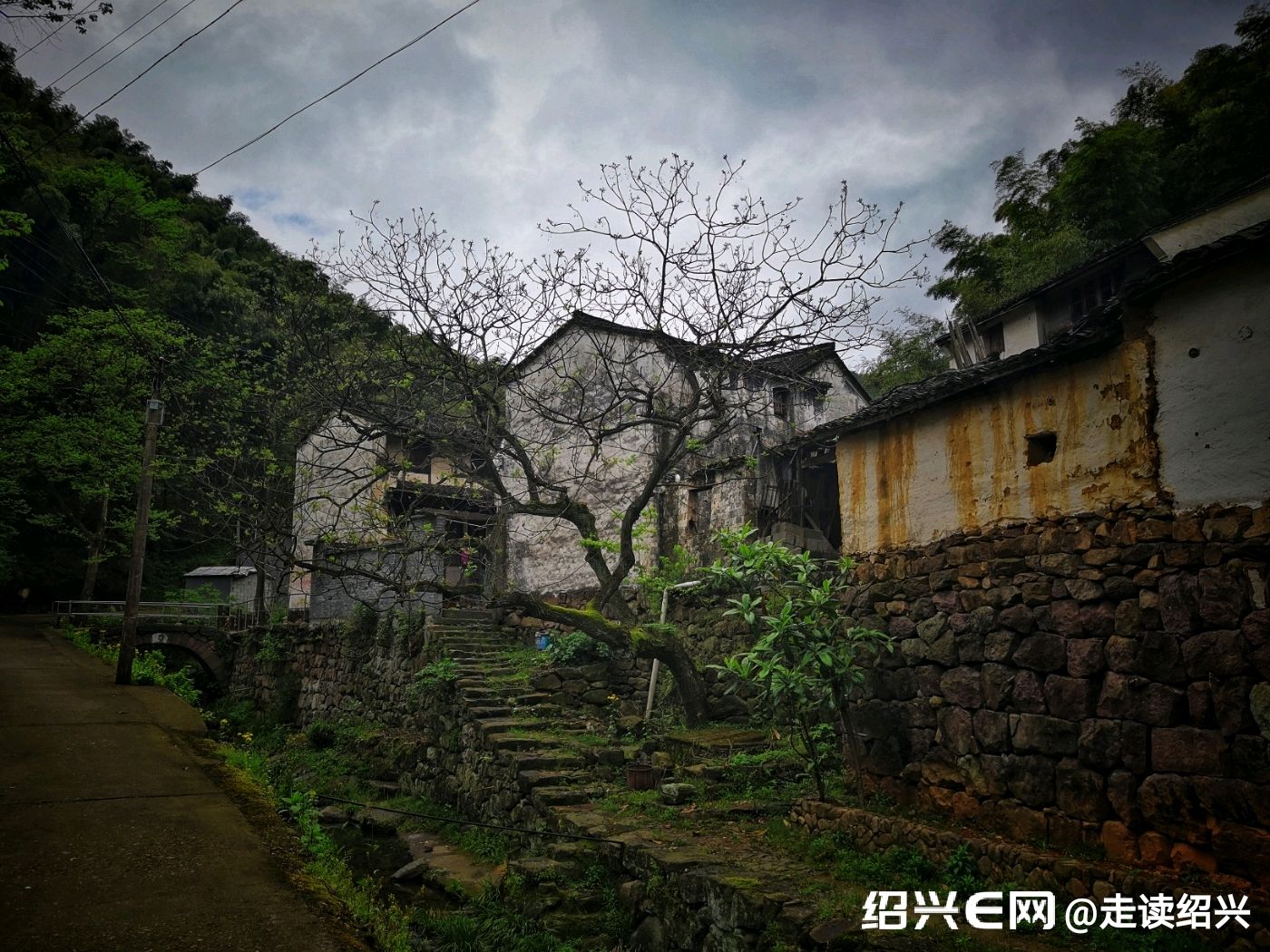 图说绍兴第五期 平水镇合心村 2019.5.19