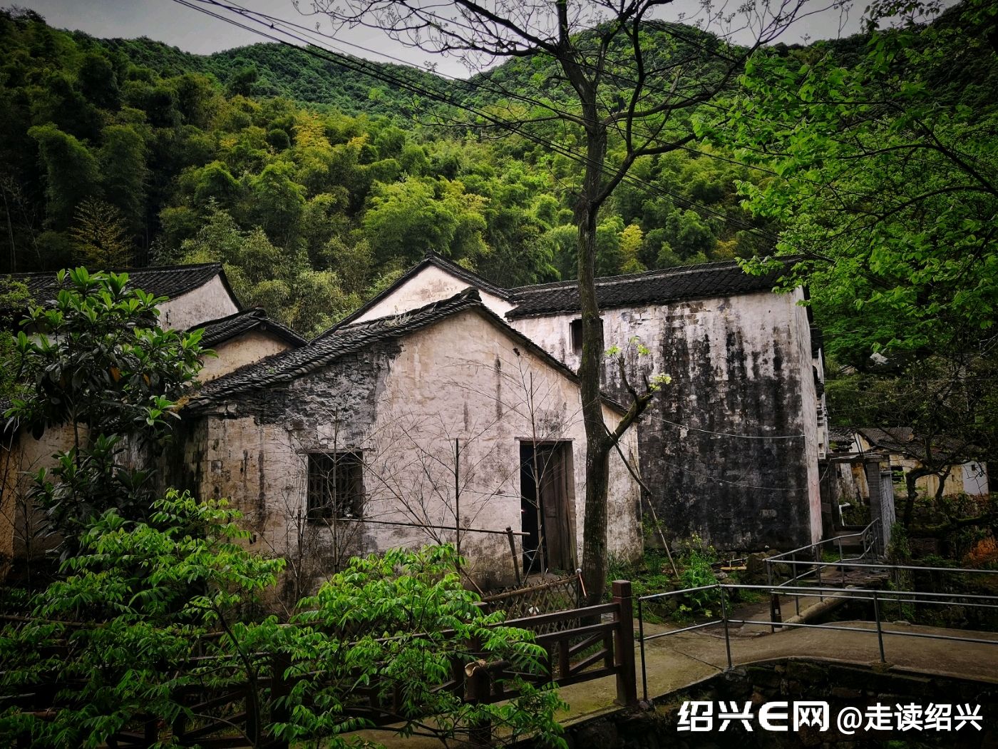 图说绍兴第五期 平水镇合心村 2019.5.19