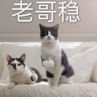 绍兴总监