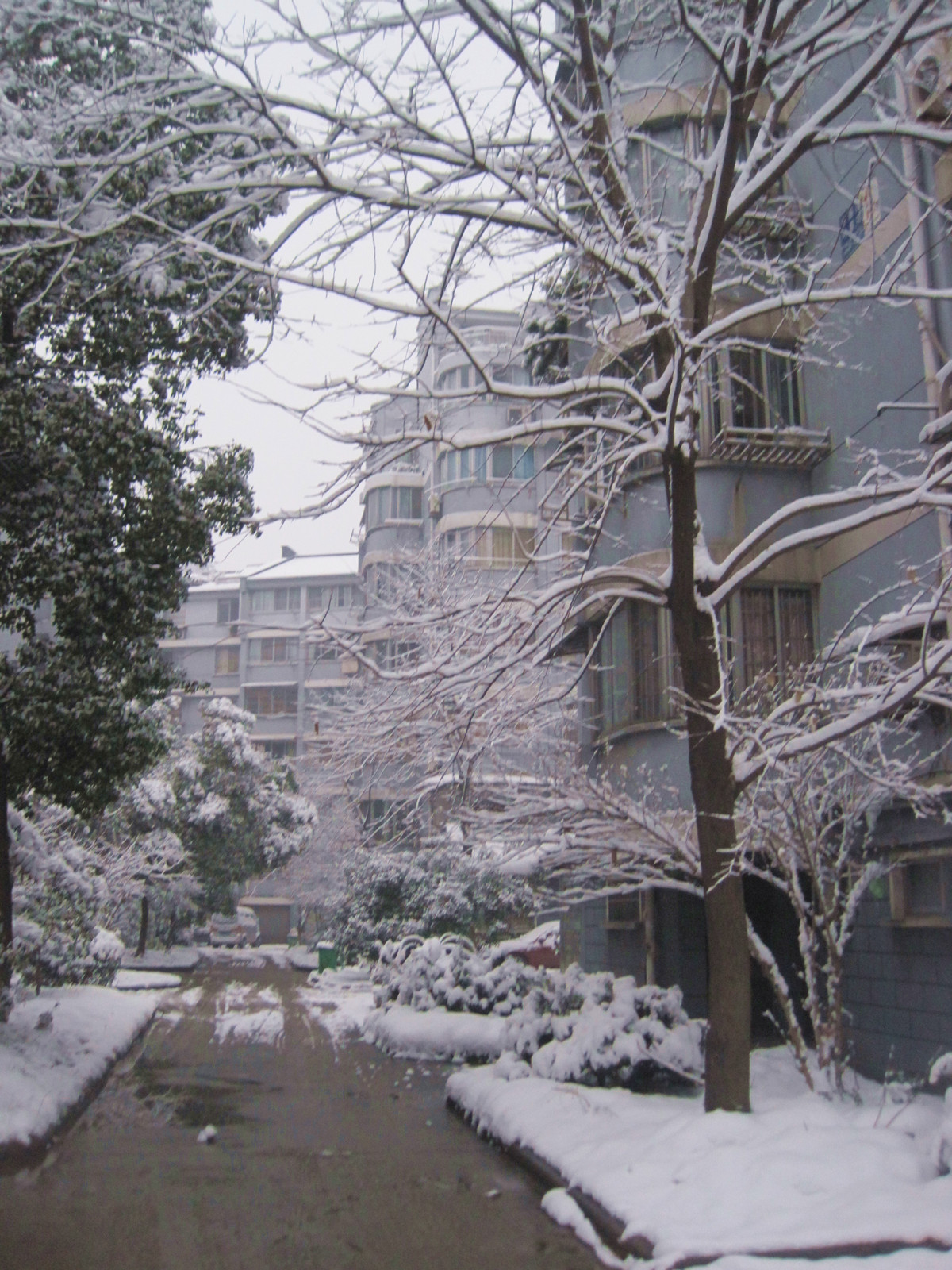 小区雪景