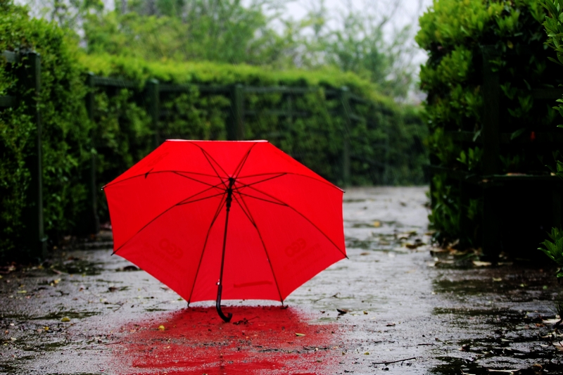 雨中红伞