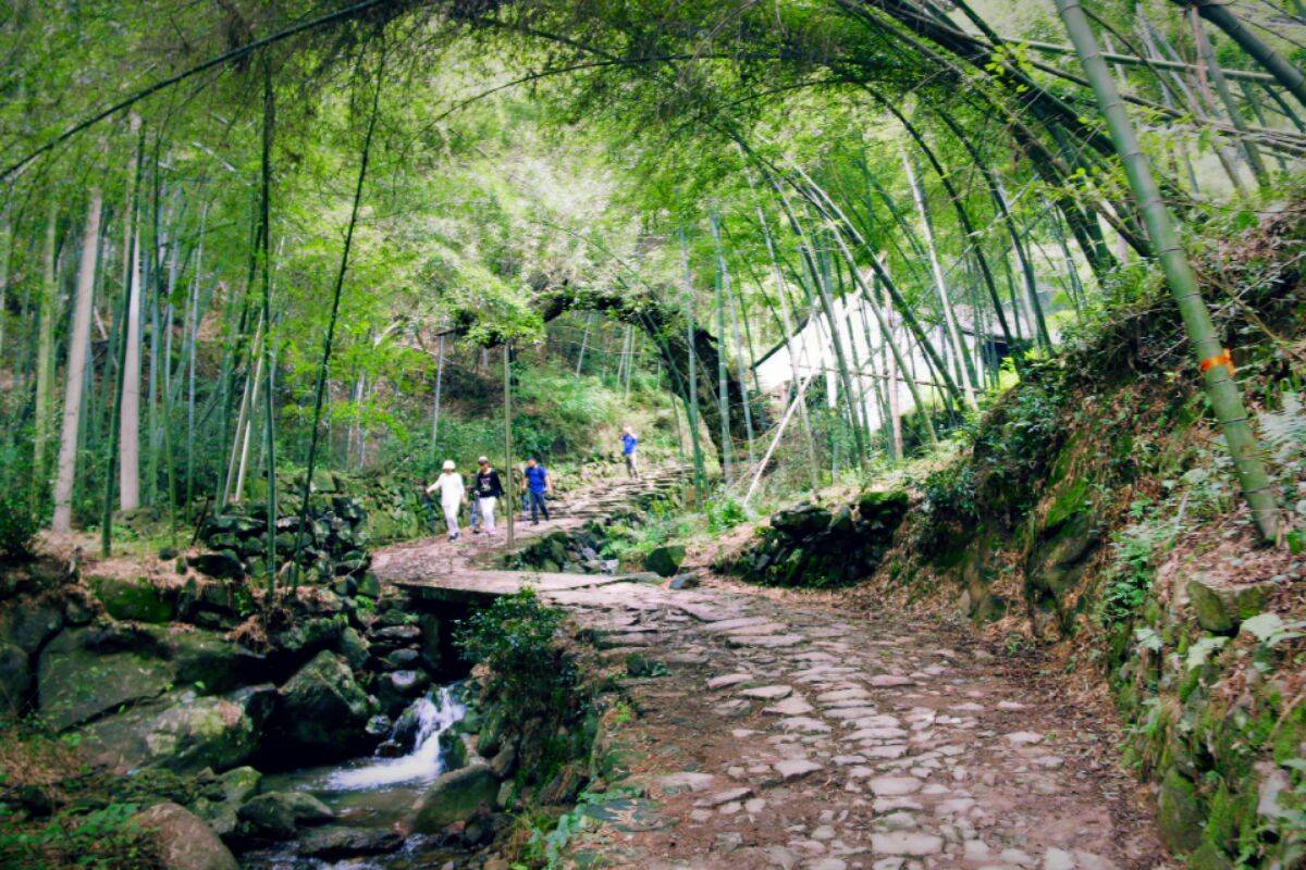 日铸岭|图说绍兴 - 绍兴e网论坛 - 绍兴地方门户网站 - 绍兴人气社区