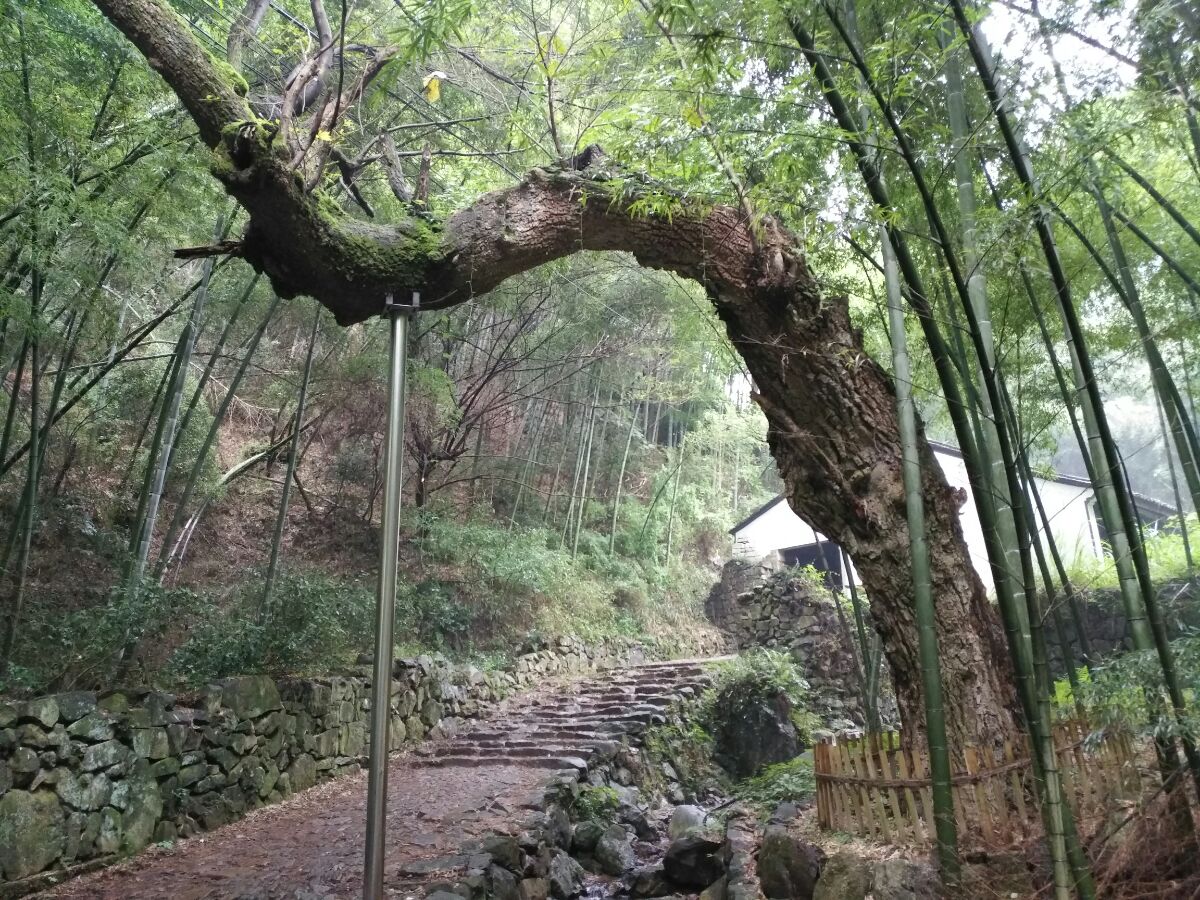 20170515日铸岭古道