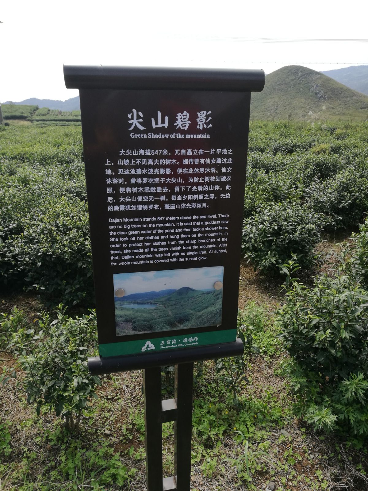 尖山碧影间,芦花摇秋空~初行五百岗|驴行天下 - 绍兴e网论坛 - 绍兴