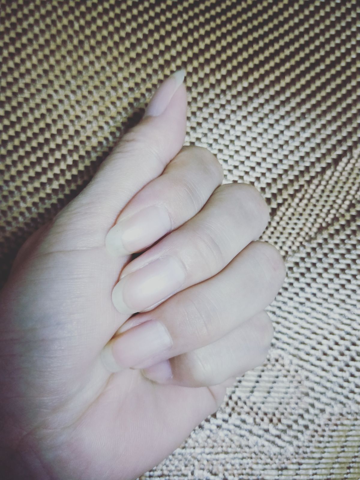 亲子活动-摸手认亲