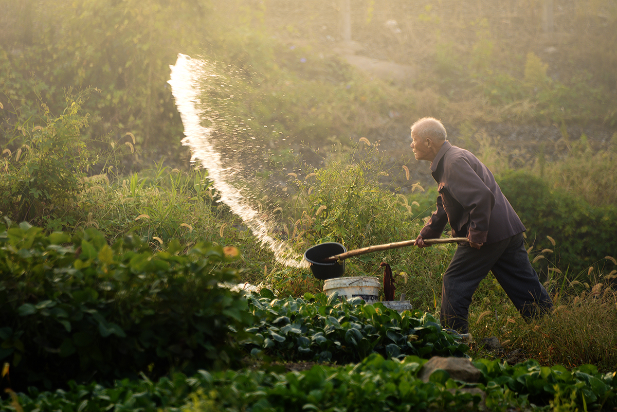 地头劳作者    摄于2018-10-|图说绍兴 - 绍兴e网论坛 - 