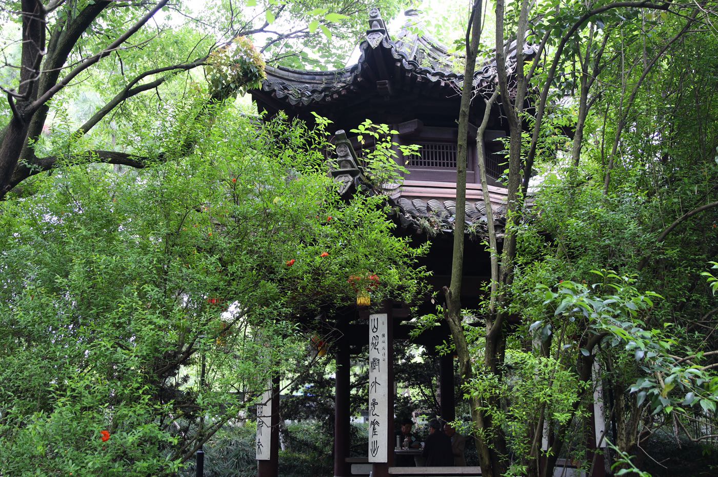 西园随拍|摄影交流(手机/单反) - 绍兴e网论坛 - 绍兴地方门户网站 - 