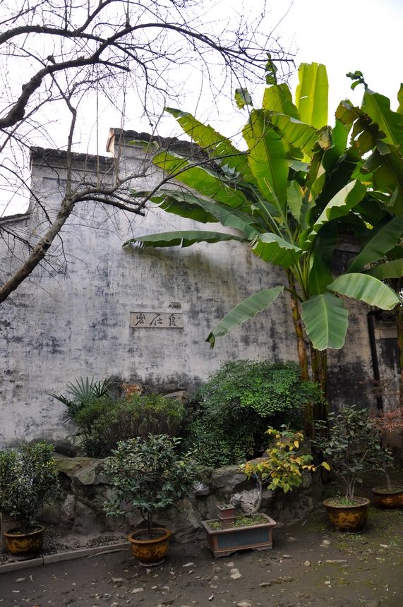 中国画圣徐渭故居青藤书屋全面恢复工程正式启动