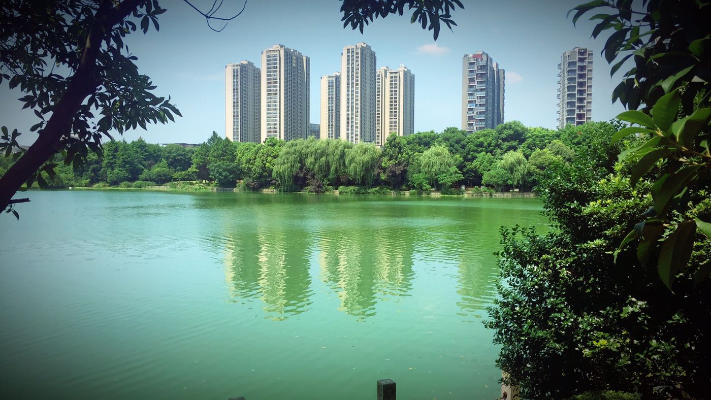 大滩景色|摄影 - 绍兴e网论坛 - 绍兴地方门户网站 - 绍兴人气社区