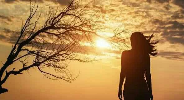 两只蝴蝶的故事!(12月10日完)