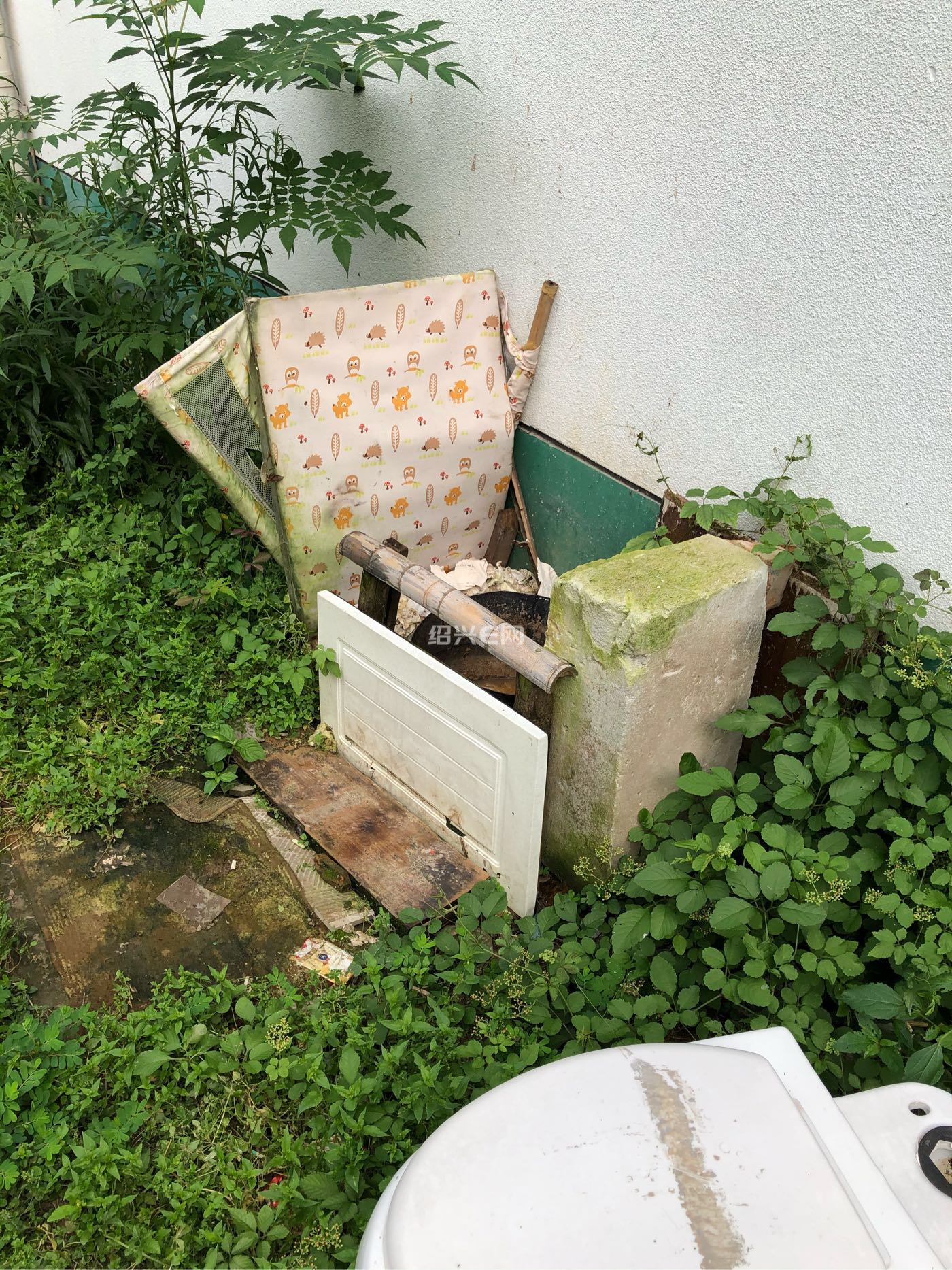 市区勾乘路边的露天粪坑