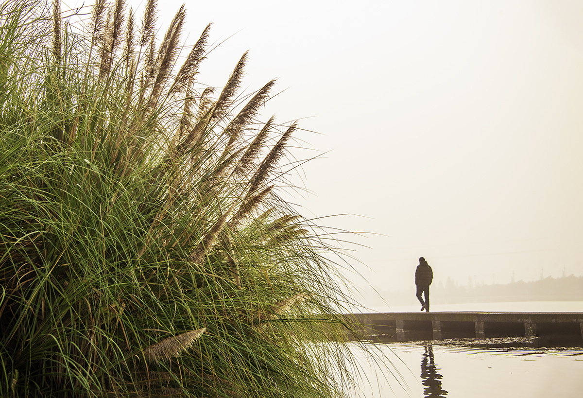 鉴湖后秋风光2020.12.12