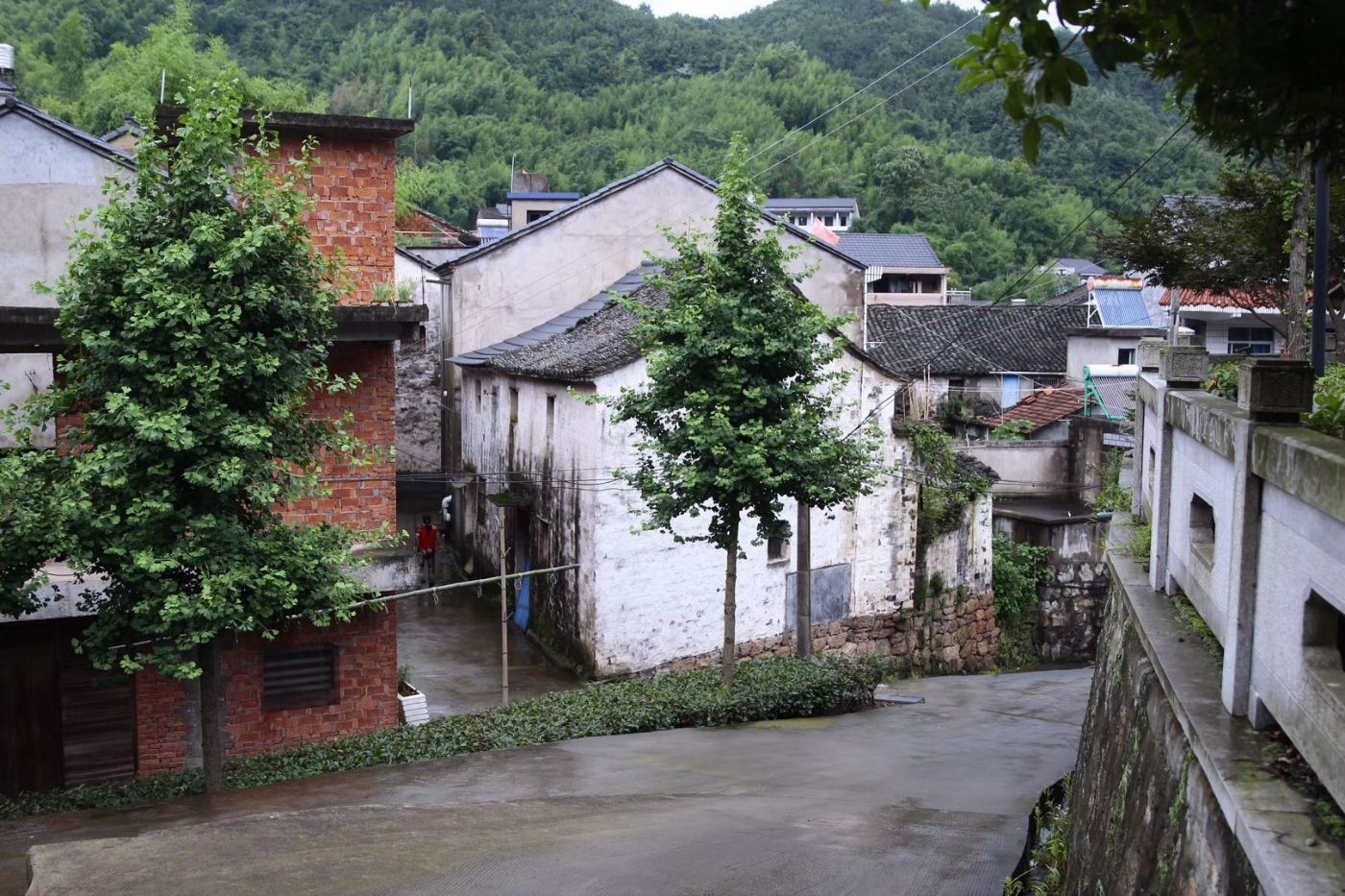 圖說紹興 平水鎮黃壤塢村2021.6.29