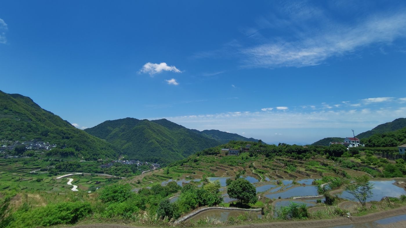 東澄村|攝影交流(手機/單反) - 紹興e網論壇 - 紹興地方門戶網站