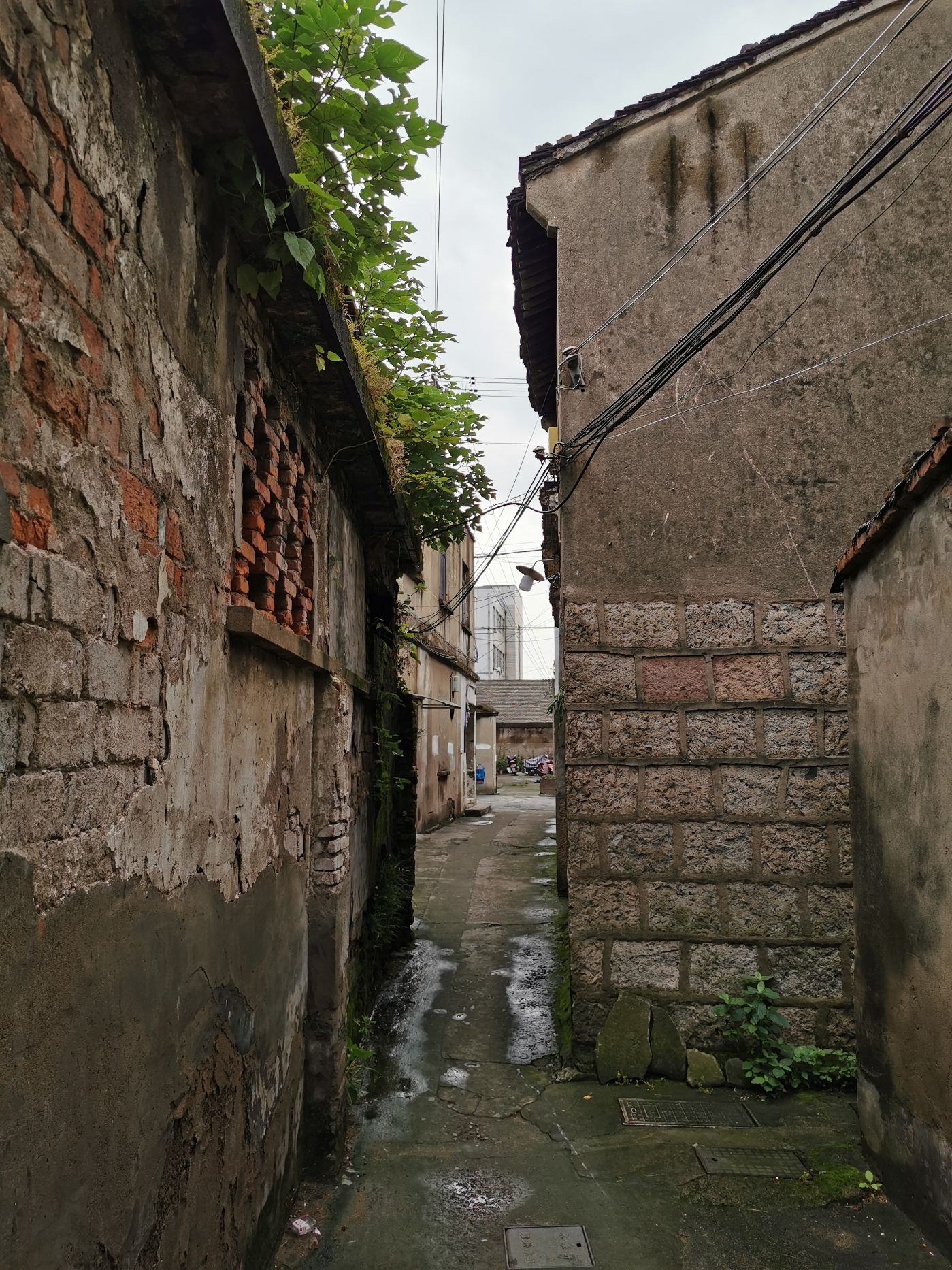 运河边上的——皋埠老街2021.8.13