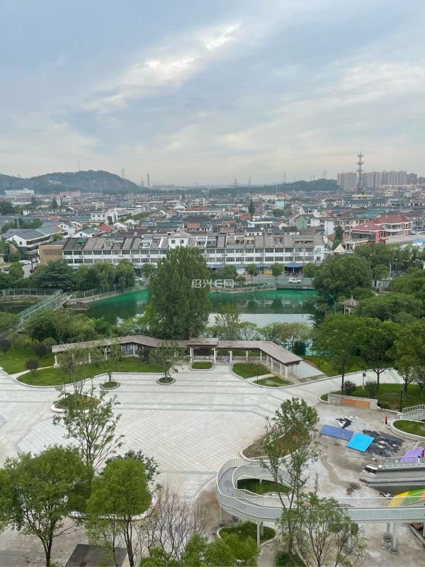 齐贤羊山公园桃花水母保护区大半湖面都是油漆