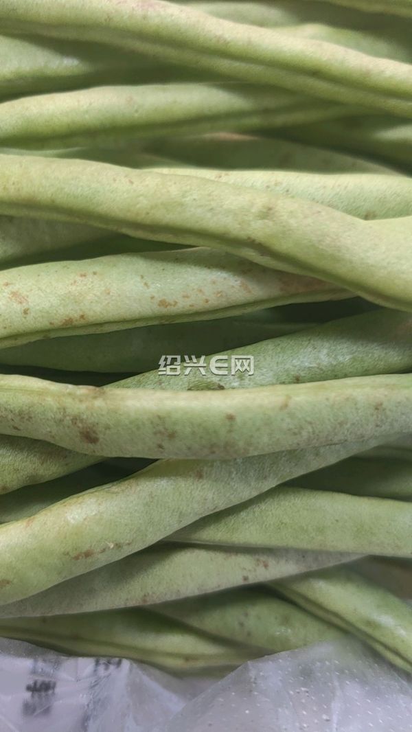 这个就是美团优选买的四季豆,这新鲜吗