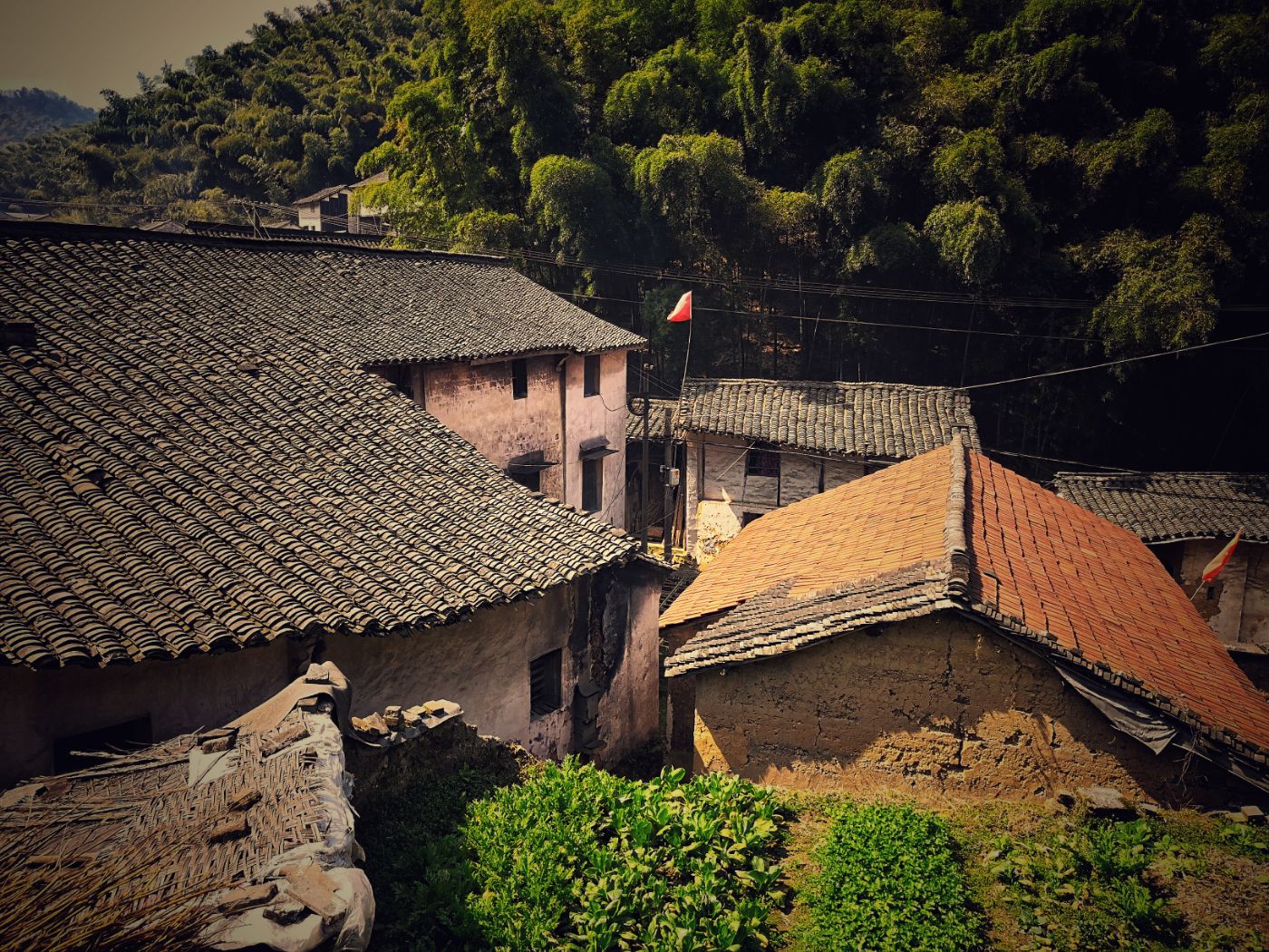2019.3.18阳光下的夏履镇黎明村