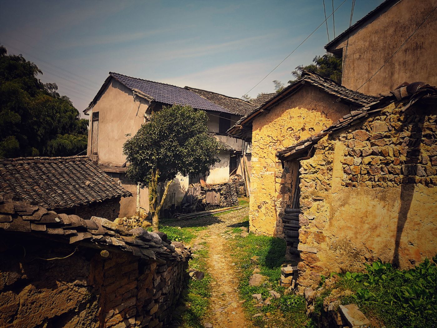 2019.3.18阳光下的夏履镇黎明村