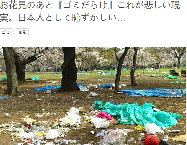 我们要浪漫樱花,不要垃圾遍地(瓜渚湖东岸公园见闻)