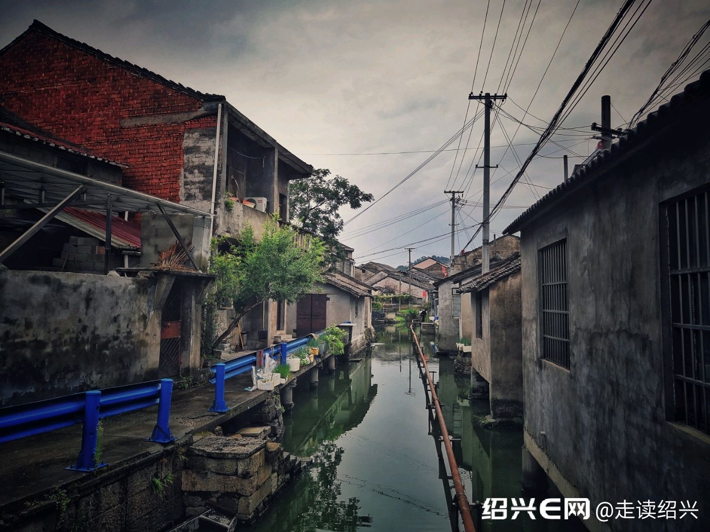 雨后的鉴湖街道骆家葑村2019.8.28