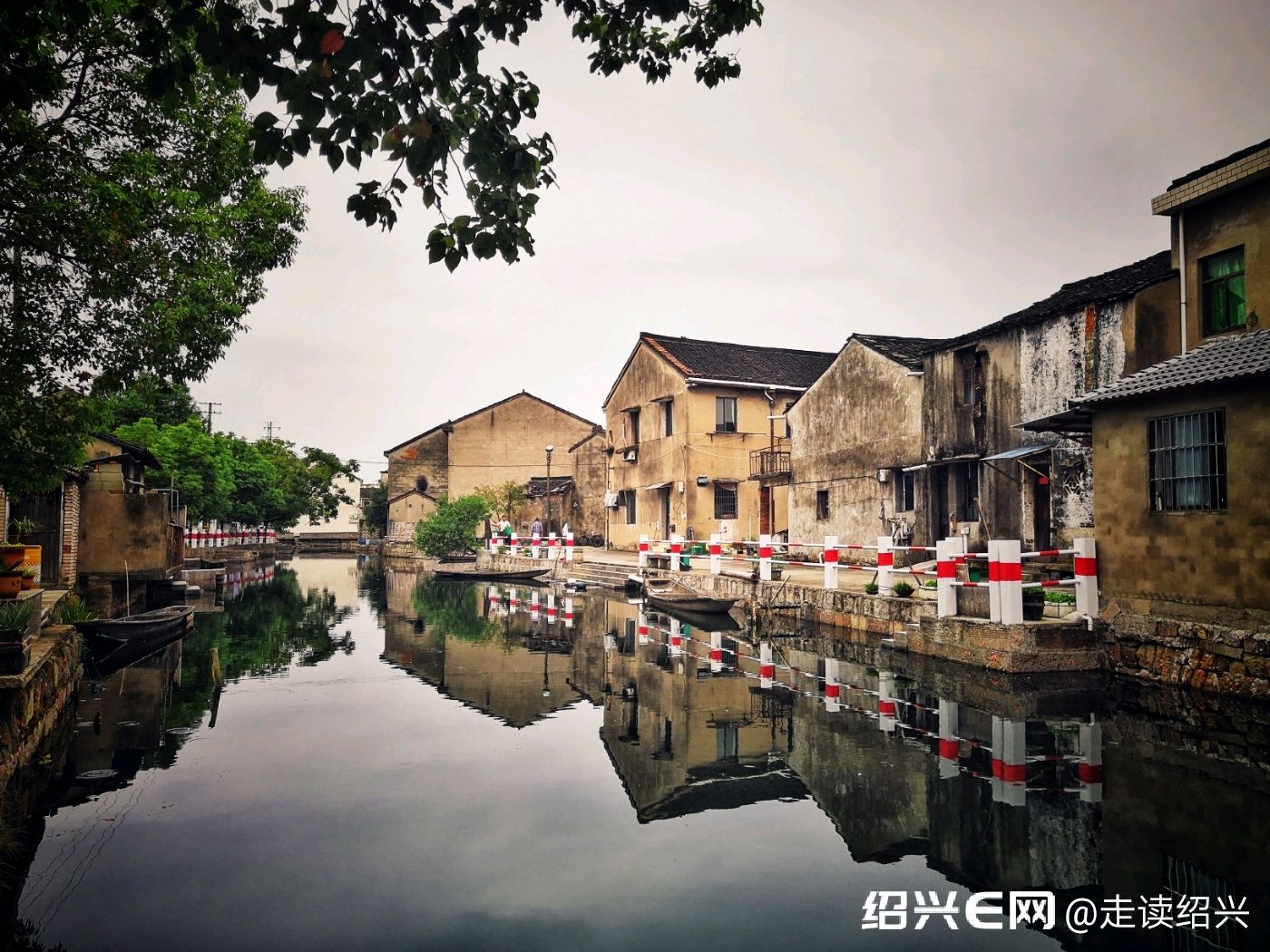 随拍绍兴第一期# 鉴湖街道王家葑村之后2019.10.16