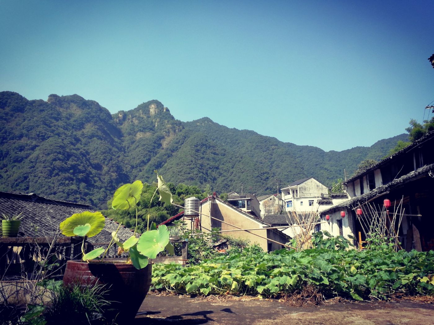 随拍绍兴第十七期# 平水岔路口村眉山2021.2.28