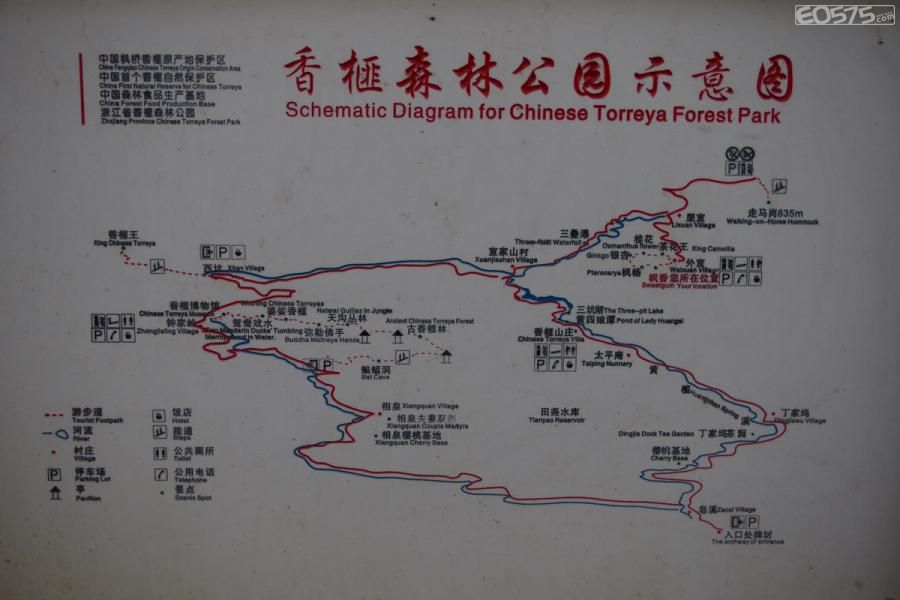 诸暨 赵家镇,每次绍大线路过都会看到"香榧森林公园"的指示牌,趁