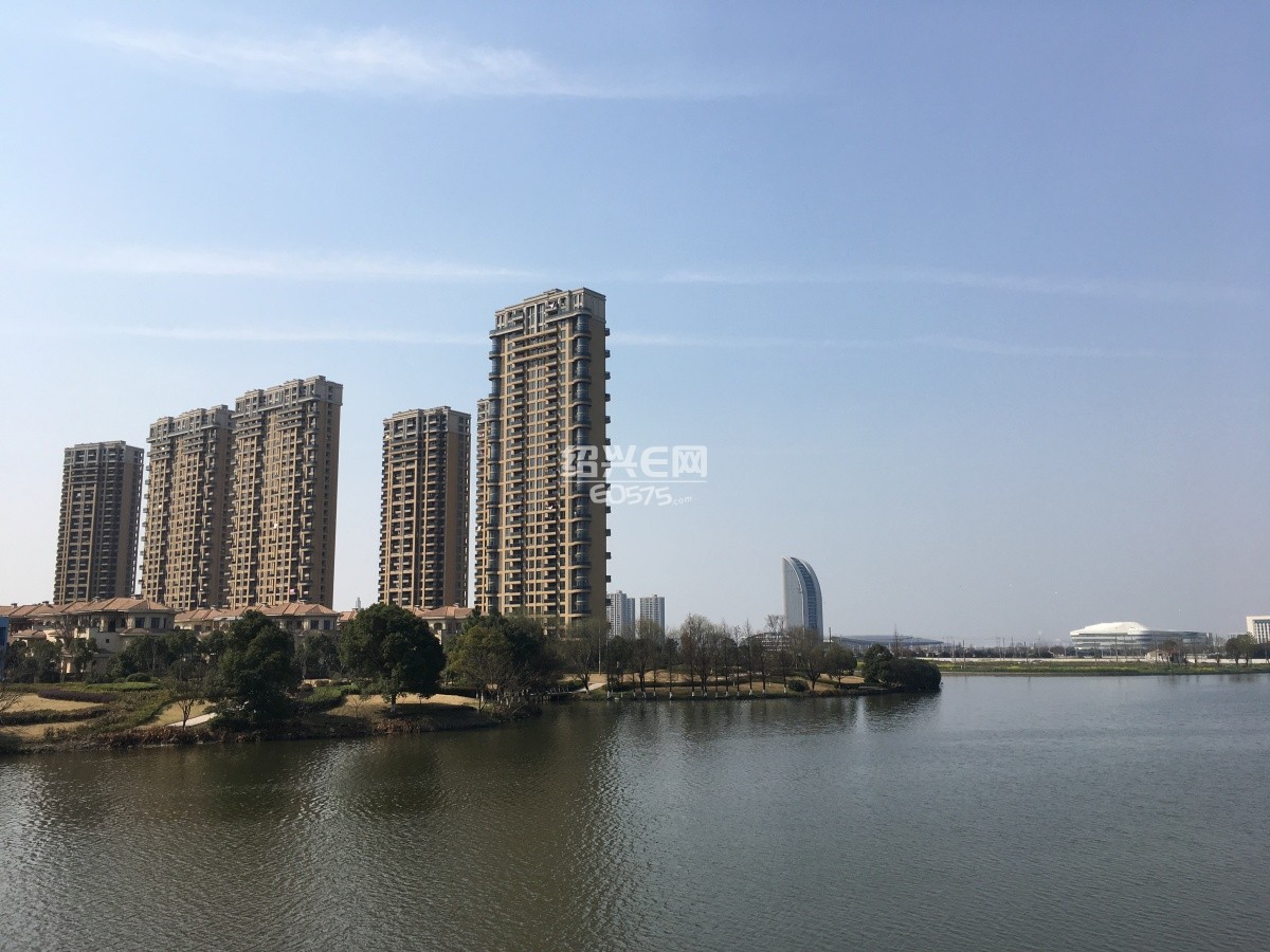 油菜花一开,春天来了,绍兴正快速迈向镜湖