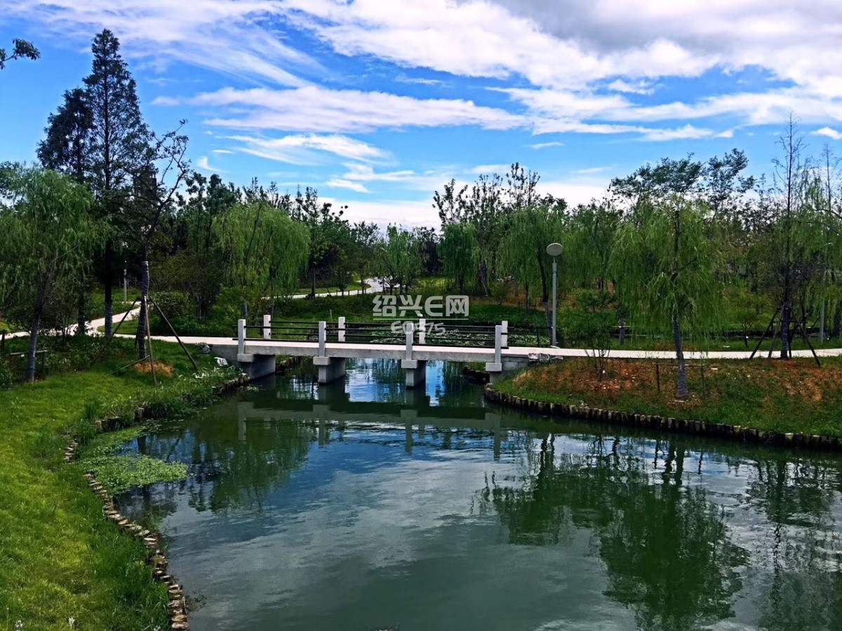 盛夏——袍江两湖公园