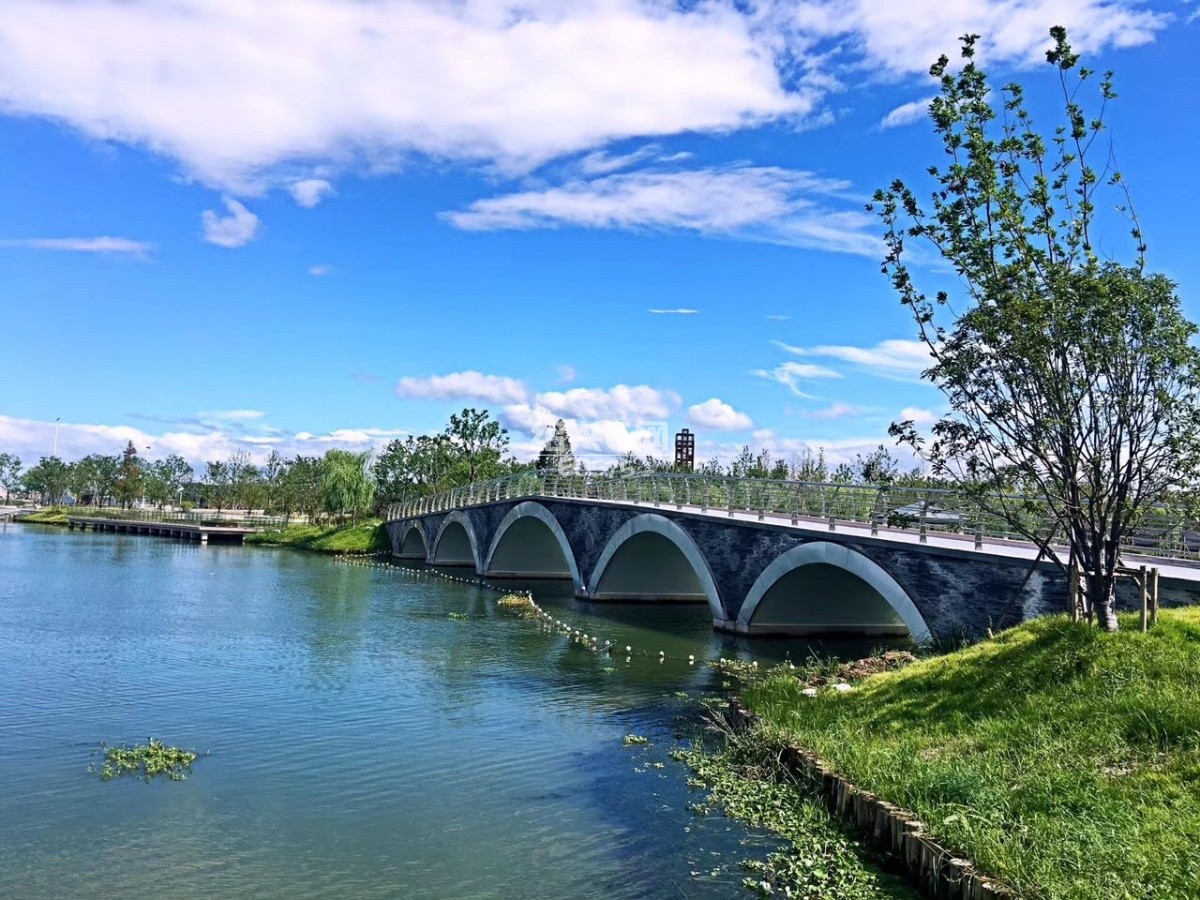盛夏——袍江两湖公园