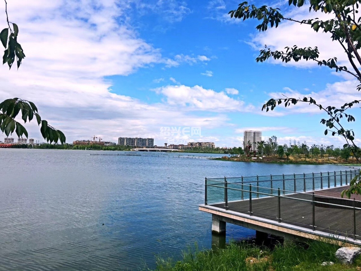 盛夏——袍江两湖公园