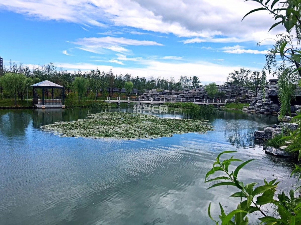 盛夏——袍江两湖公园