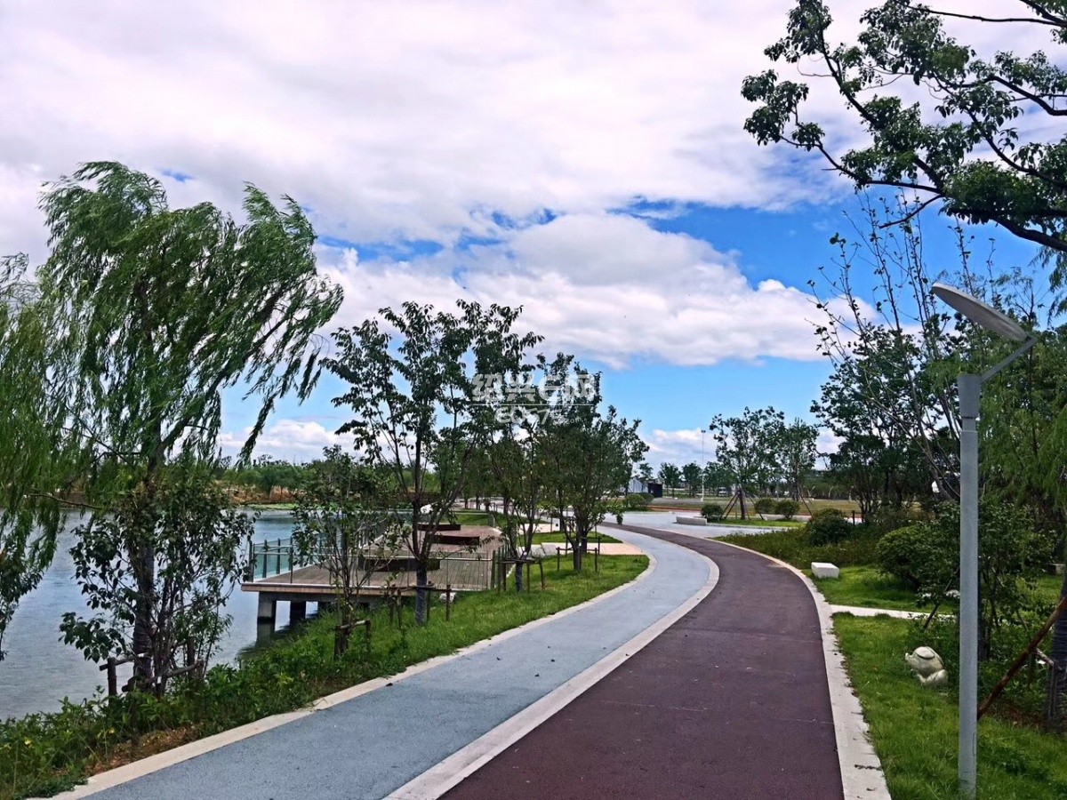 盛夏——袍江两湖公园