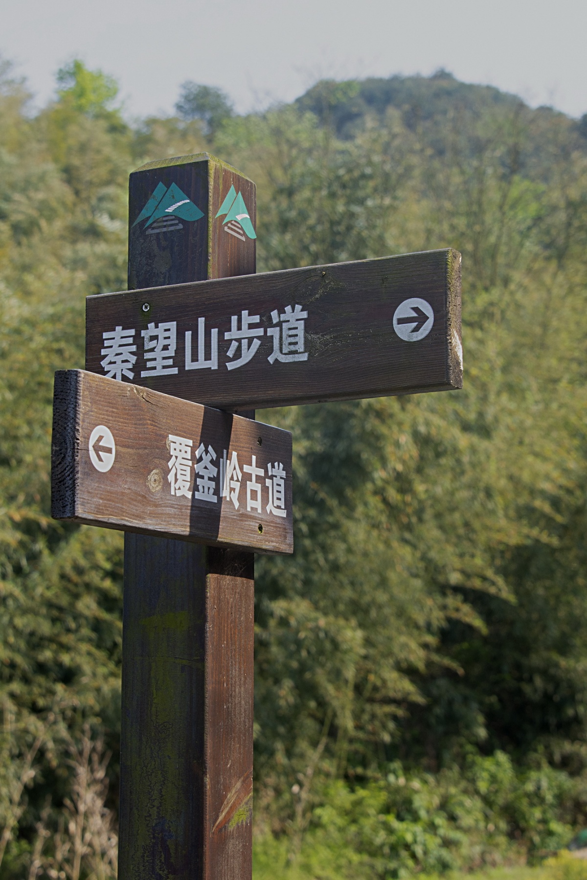 秦望山步道图片